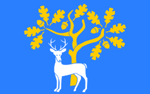Flag of berkshire